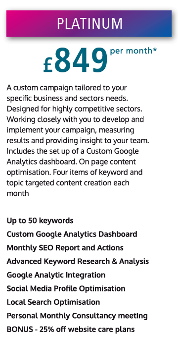 SEO-platinum-plan