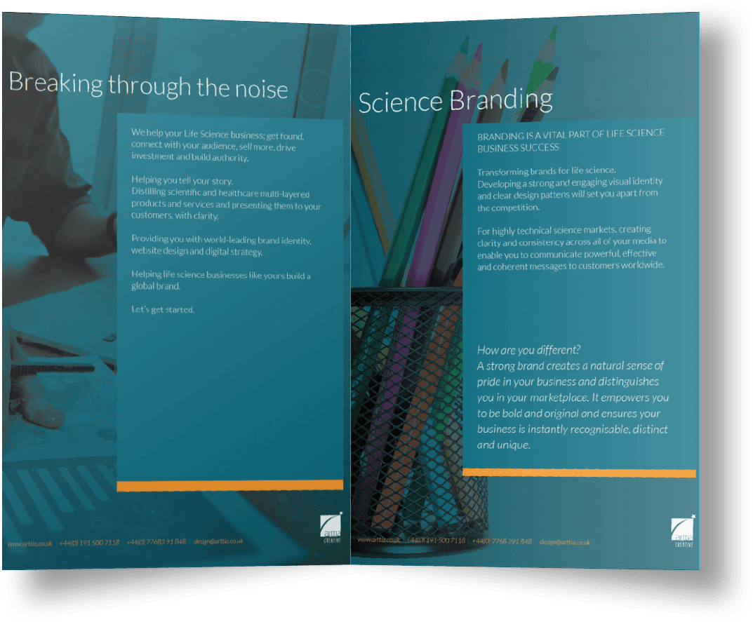 brochure spread mockup