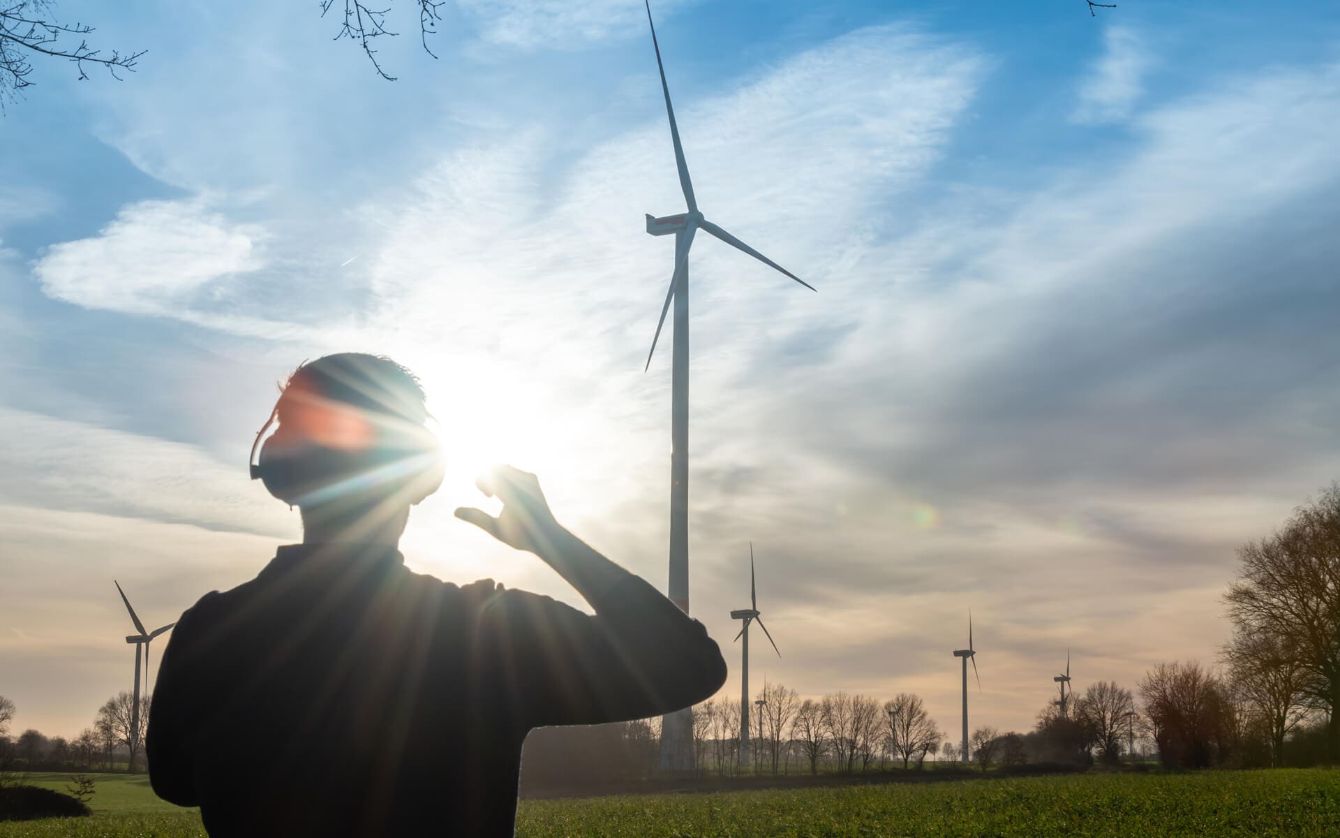 Sector image half page renewables4