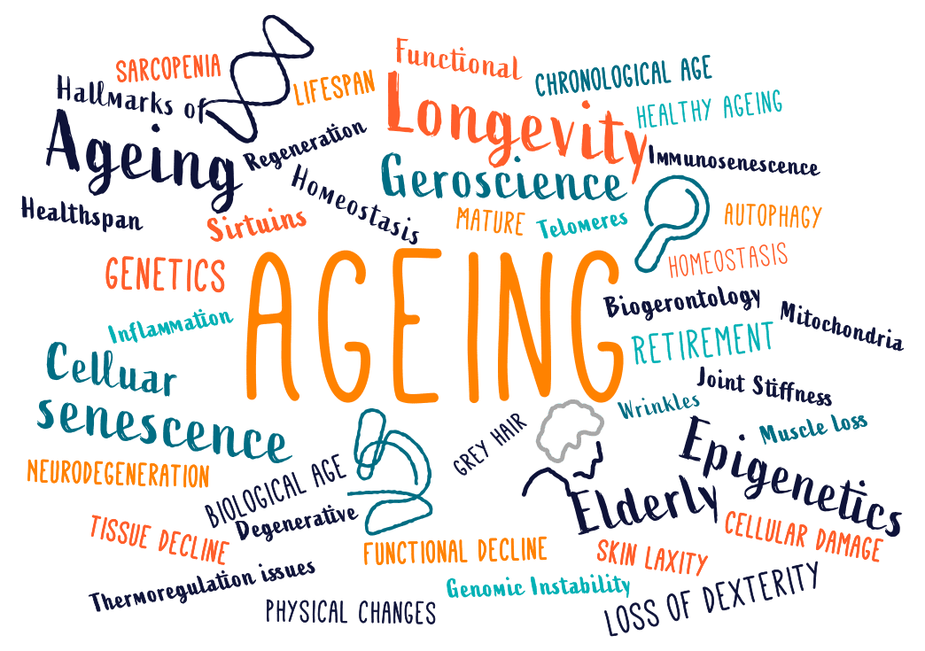 what-is-ageing