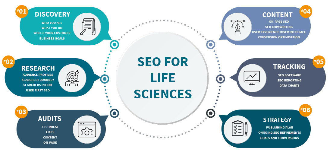 SEO-Infographic