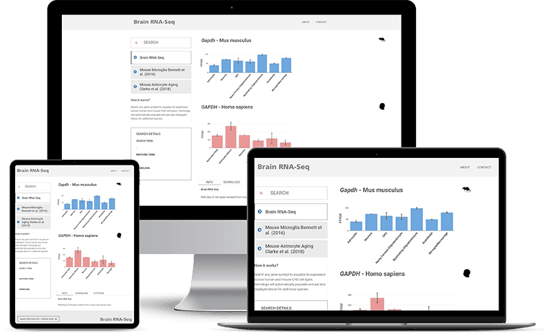 BRAIN RNA website mockup
